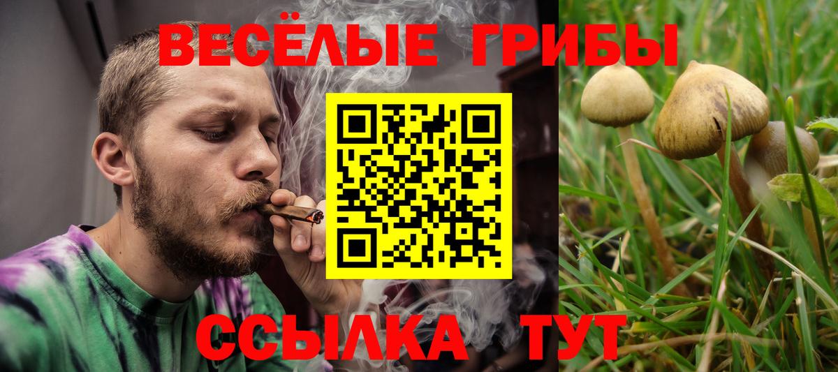 Галлюциногенные грибы мухоморы  Вход с VPN  Нурлат 