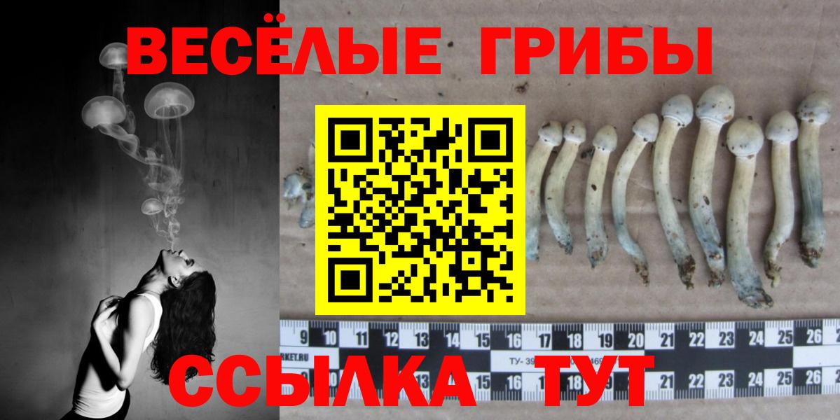 Галлюциногенные грибы мицелий Нурлат